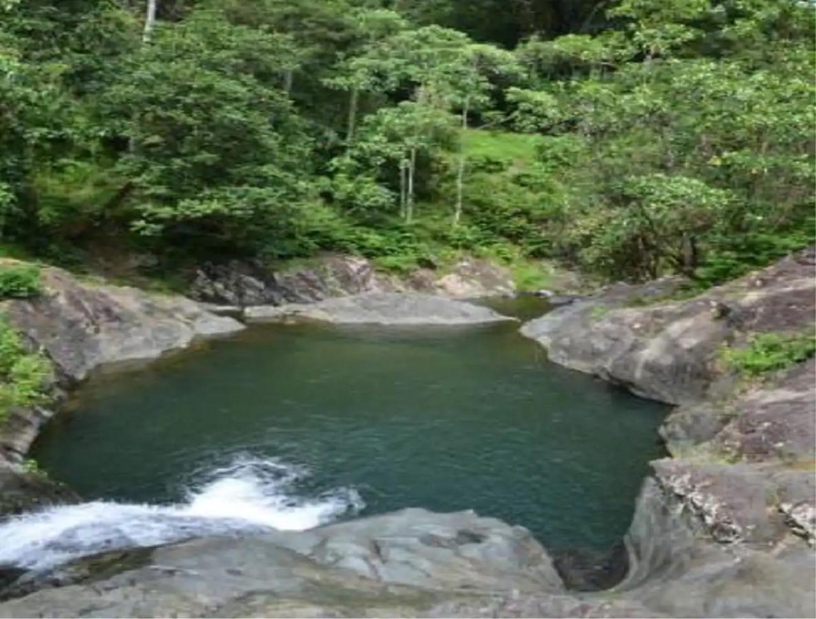 Evasion Bungalow Tropical Spa Sarraméa 外观 照片