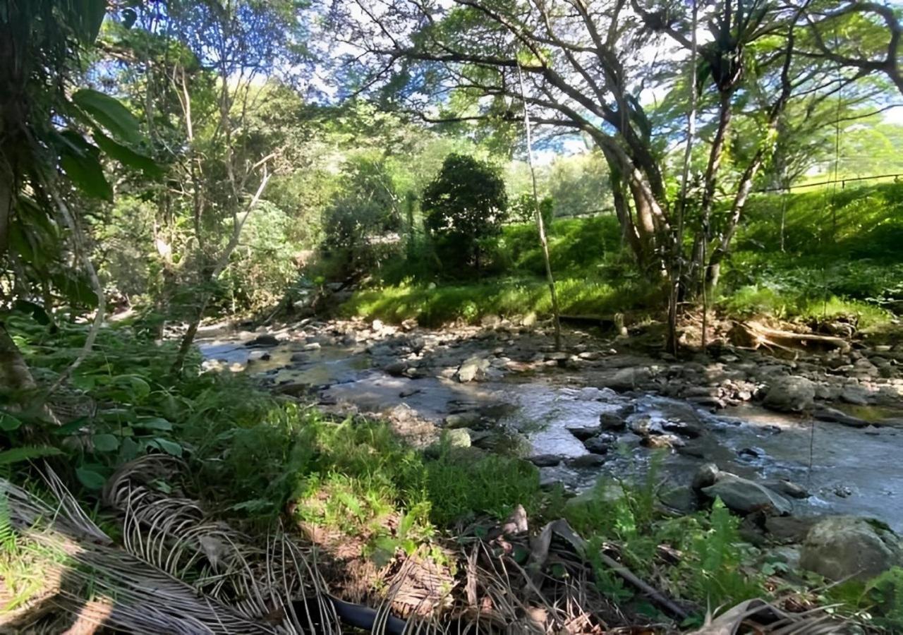 Evasion Bungalow Tropical Spa Sarraméa 外观 照片