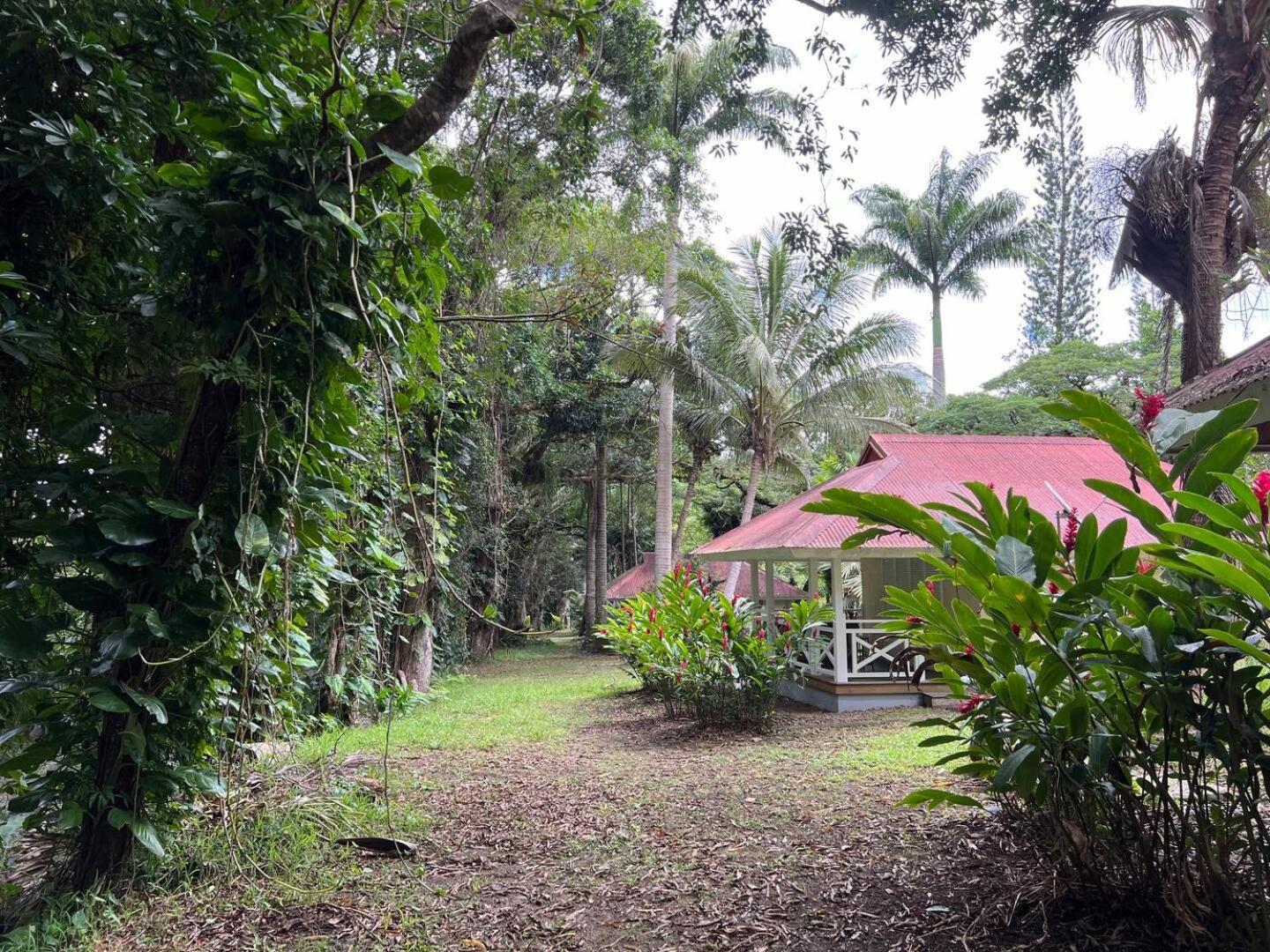 Evasion Bungalow Tropical Spa Sarraméa 外观 照片